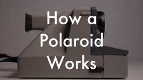 How Does a Polaroid Work?