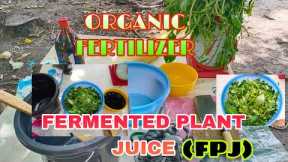 HOW TO MAKE FERMENTED PLANT JUICE (FPJ)  #organic #fertilizer #plants #animals