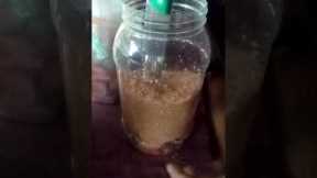ffj fermented fruit juice gawa tayo