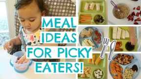 TODDLER MEALS FOR PICKY EATERS | TODDLER MEAL IDEAS | Hayley Paige