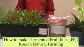 How to Make Fermented Plant Juice (FFJ) : Korean Natural Farming [knotrain2020]