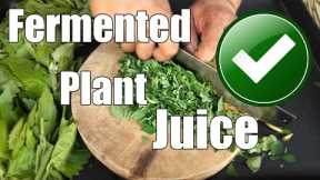 Fermented Plant Juice / Organic Fertilizer