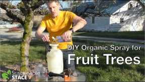 DIY Organic Spray for Fruit Trees