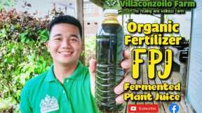 How to make Organic Fertilizer l Fermented Plant Juice (FPJ)