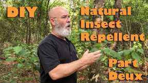 Natural Insect Repellent with Beautyberry part Deux