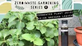 ZERO-WASTE GARDENING ♻️ How to Make Natural Fertilizer - Fermented Plant Juice (FPJ) 🍃