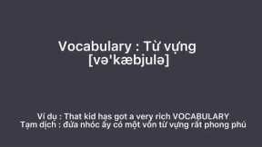 Basic vocabulary - Unit 1 ( Language learning )
