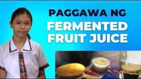 How to Make Fermented Fruit Juice | Papaya