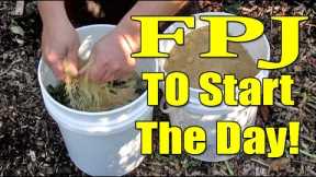 Easy Homemade Fertilizer Using Weeds & Brown Sugar | Fermented Plant Juice aka FPJ
