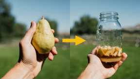 How To: Fermented Fruit Juice Natural Farming