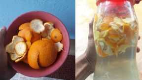 You will never throw away orange peels after watching this