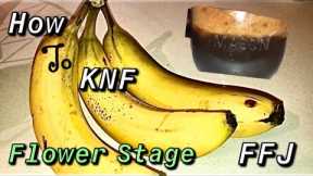 How To KNF ( Korean Natural Farming and it’s Organic Inputs ) Bloom FFJ with Banana