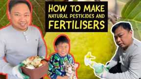 How to make natural fertiliser and pesticides | Home Gardening