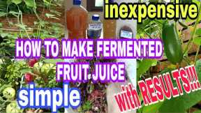 HOW TO MAKE FERMENTED FRUIT JUICE FOR PLANTS IS SIMPLE,  INEXPENSIVE AND WITH RESULTS!!!  TRY IT