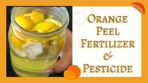Orange Peel Fertilizer/Pesticide | Get rid of aphids, ants and spider mites