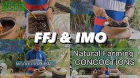 NATURAL FARMING | EP. 1 | Fermented Fruit Juice (FFJ) & Indigenous Microorganism (IMO)