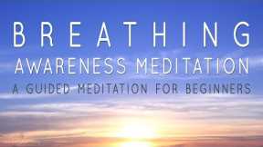 Breath Awareness | Guided Meditation for Beginners | Reduce Stress| Calm Mind