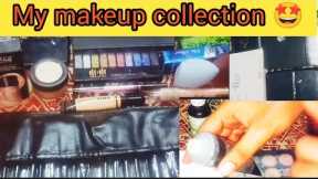 My Makeup Collection 2022‼️Eyeshadow Palette collection , Foundation, Concealers, Brushes By Afrink