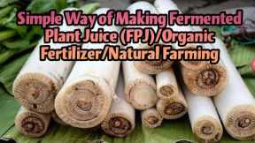 Simple Way of Making Fermented Plant Juice (FPJ)/Organic Fertilizer/Natural Farming