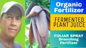 Organic Fertilizer FERMENTED PLANT JUICE best for Foliar Spray and Drenching Fertilizer