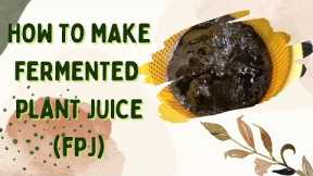How to Make Fermented Plant Juice(FPJ) | ORGANIC FERTILIZER