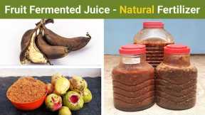 Fruit Fermented Juice with Guava and Banana - Natural Fertilizer | Trust Me