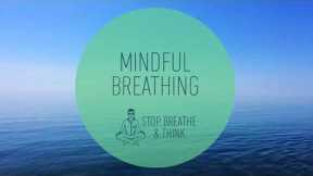 3 minute Mindful Breathing Meditation Relieve Stress