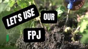 How to use FERMENTED PLANT JUICE | Finishing FPJ