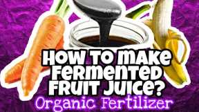 How to make Fermented Fruit Juice? ||Foliar Fertilizer|| Organic Fertilizer||