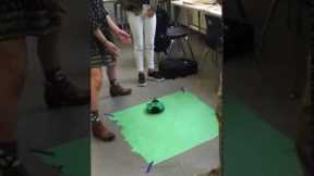 Students Programming Robots