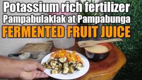 Paano gumawa ng pampabunga na organic Fertilizer FERMENTED FRUIT JUICE - Simplified explanation