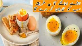 How To Boil Eggs | Perfect Boiled Eggs | Hard Boiled Eggs + Soft Boiled Eggs Village Cooking Secrets