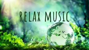 Relax Music for Stress Relief |  Study & Background Music |  Sleep Meditation Music 💜 528Hz