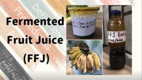 How To Make Fermented Fruit Juice (FFJ)? | Easy Steps
