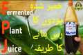 How to Make Fermented Plant Juice