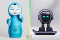 5 Best Personal Robots You Can Buy In 