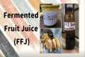 How To Make Fermented Fruit Juice