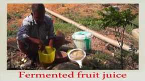 Natural Farming-How to Prepare Fermented Fruit Juice!
