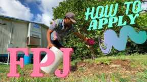 KNF: HOW TO APPLY FPJ (FERMENTED PLANT JUICE) To Your Plants and Garden