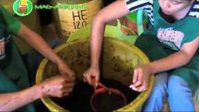 Organic/Natural Farming: How to Make Fermented Plant Juices (FPJ)