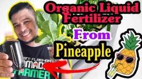 Natural Liquid Fertilizer from PINEAPPLE | Fermented Fruit Juice| Organic Fertilizer