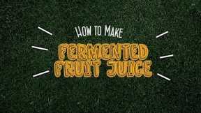 How to Make Fermented Fruit Juice (FFJ): Organic Farming