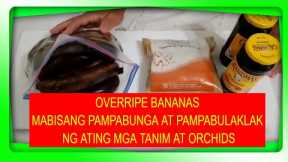 How to make Fermented Fruit Juice FFJ fertilizer, MABISANG PANGPABUNGA AT PANGPABULAKLAK
