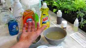 How to Make Soapy Water Garden Insect Sprays: The Recipe, Use & Soap Selection - DIY Ep-3