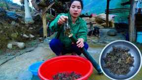 cook the best frogs for my family, the kids love to eat them | Vietnamese village food