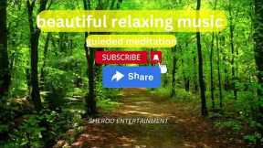 beautiful relaxing music || breathing exercise || relaxing music || vipassana #meditation