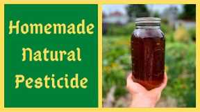 Homemade Natural Pesticide - JADAM Herbal Solution - JHS