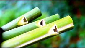 How to make a Flute or Swanee Slide Whistle out of Bamboo - Sensory Learning 4 Life