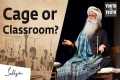 Caged in a Classroom? Sadhguru on the 