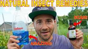 This Organic Pest Control Remedy Is A SCAM! 3 Natural Insecticides That WORK And One That DOESN'T!